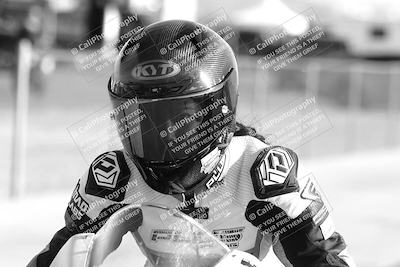 media/Jan-31-2025-2WTD (Fri) [[9ef8270bad]]/1-Around the Pits/